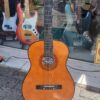 VIOLAO WALDMAM NYLON + KIT - Imagem 3