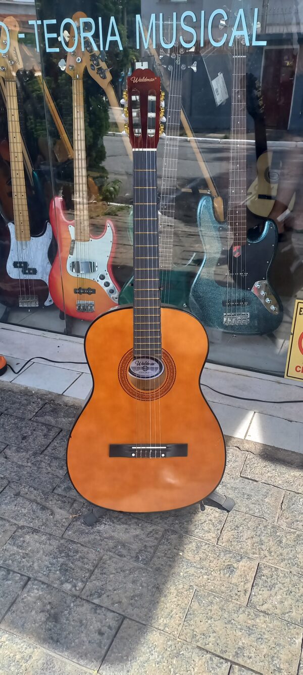 VIOLAO WALDMAM NYLON + KIT - Imagem 3