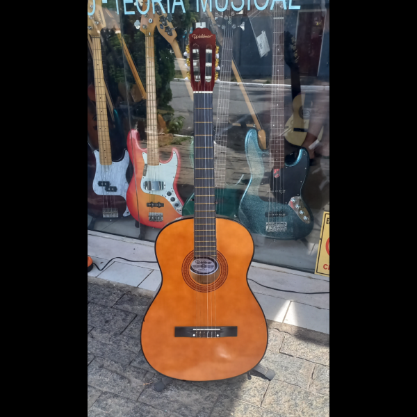 VIOLAO WALDMAM NYLON + KIT